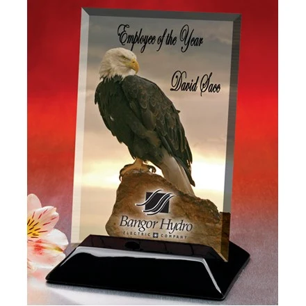 Beveled Rectangular Award (4"x6") 1