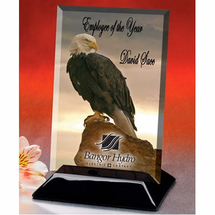 Beveled Rectangular Award (4"x6")