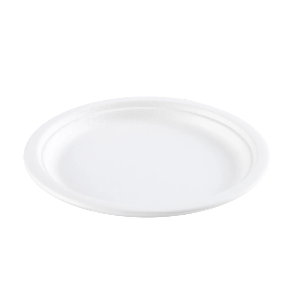 Biodegradable Food Plate 1