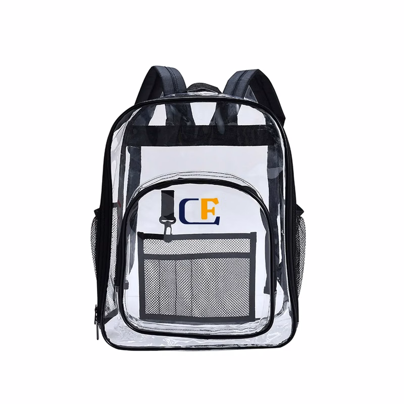The Economy Clear Backpack