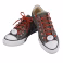 Light Up Shoelaces