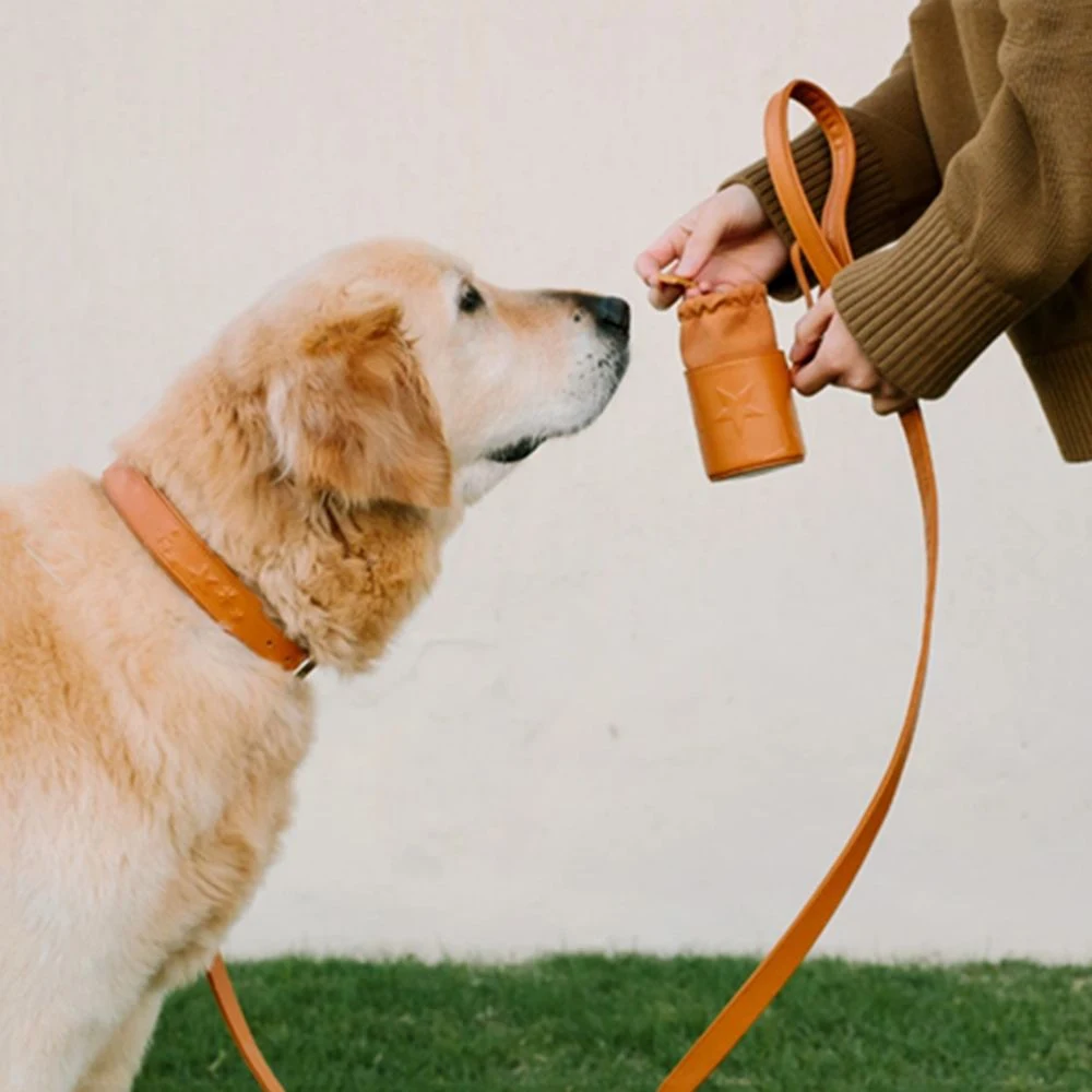 Portable Pet Treat Bag Single Shoulder Treat Bag 1