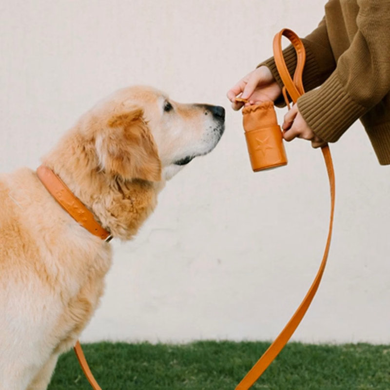 Portable Pet Treat Bag Single Shoulder Treat Bag