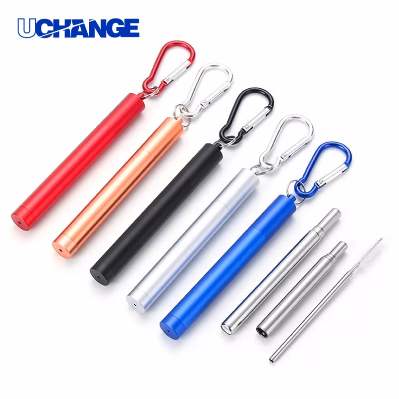 Stainless Steel Straw Keychain Reusable Drinking Accessory