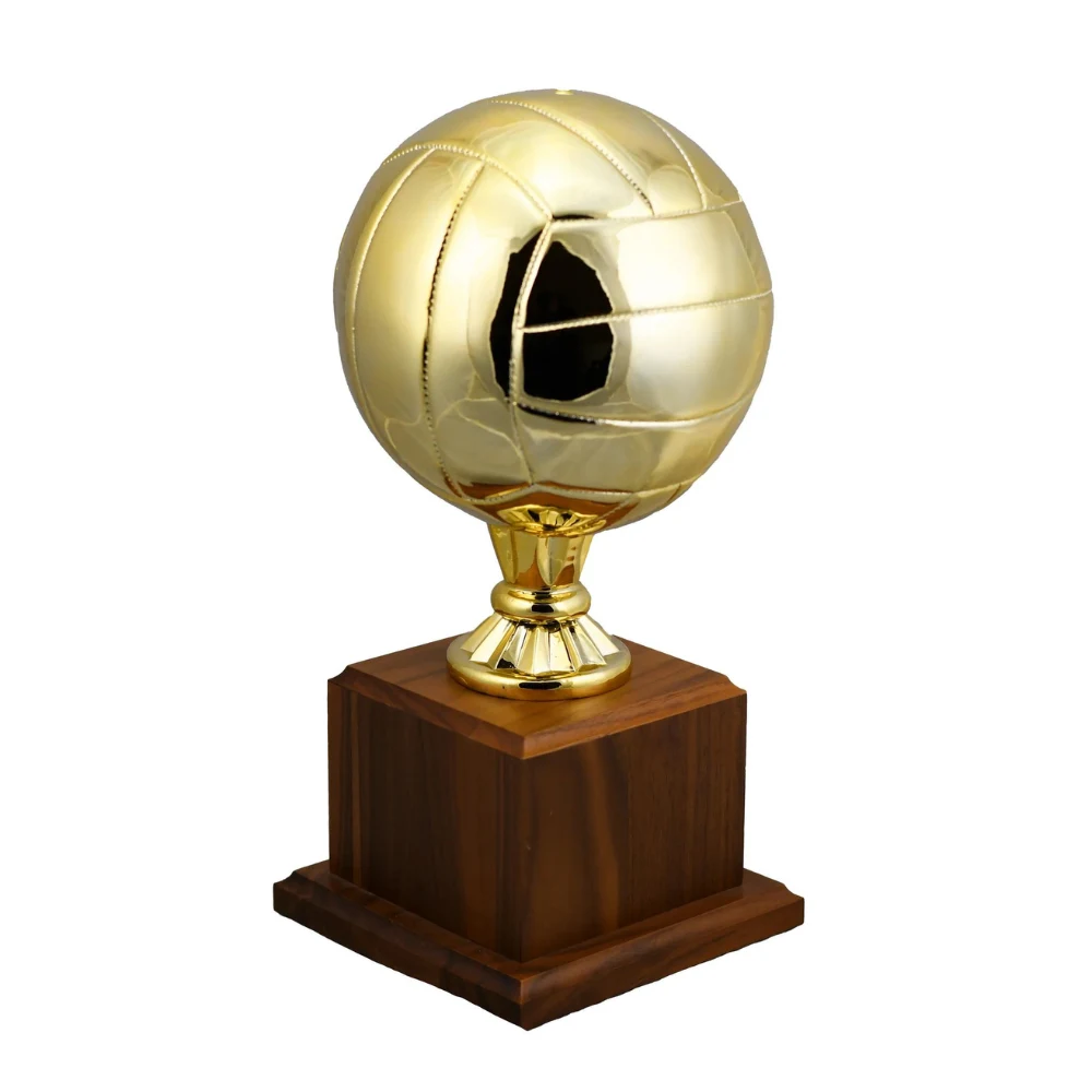 Volleyball Replica Sport Ball Award 1