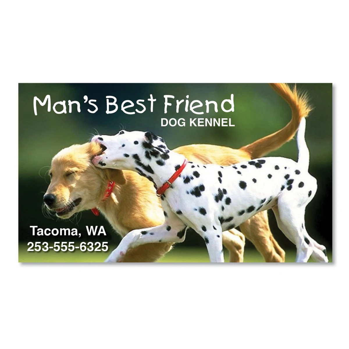 Business Card Rectangle Magnet - Full Color 1