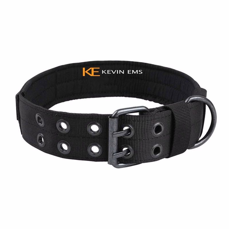Medium and Large Nylon Dog Collar