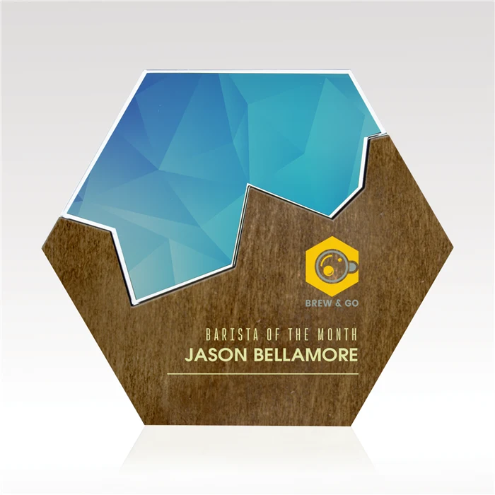 Fusion Hexagon 1