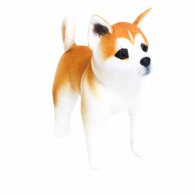 Standing Akita