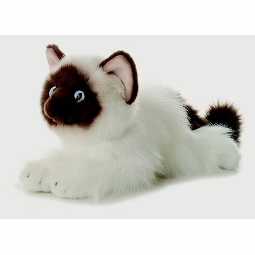 12" Bella Siamese Cat