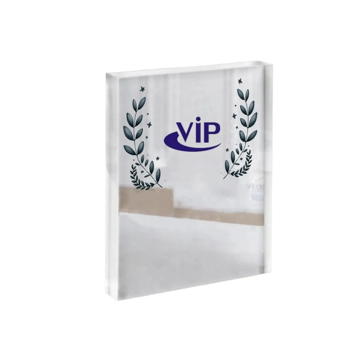 Acrylic Creative Trophy 1