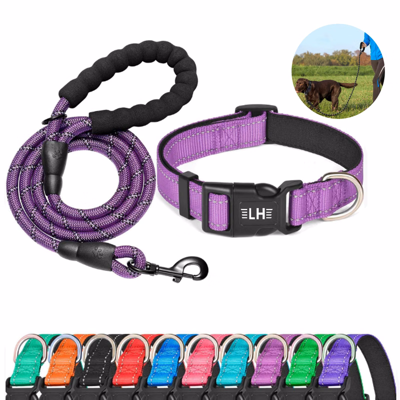Reflective Dog Collar Padded with Soft Neoprene
