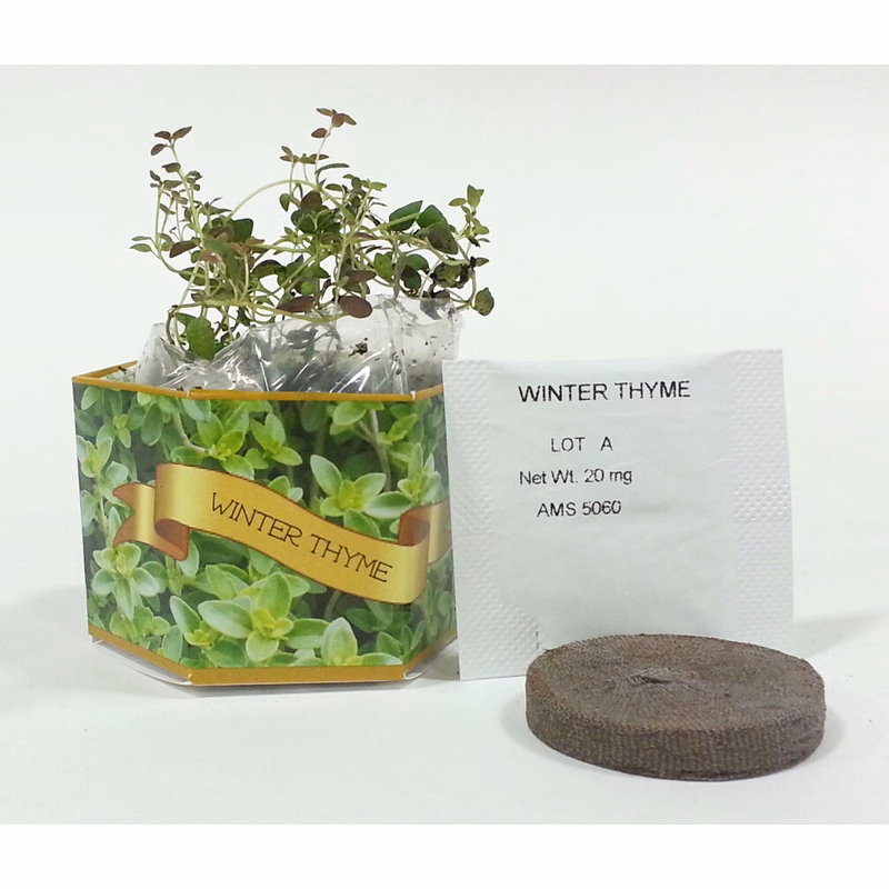 Winter Thyme Herb SeedGems Paper Planter - Biodegradable grow kit