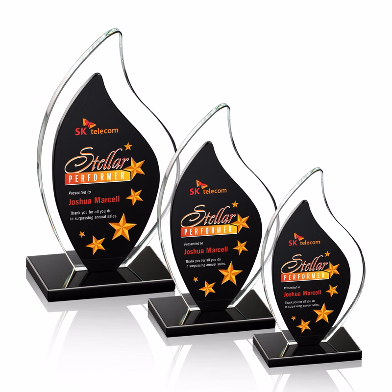 Flamingo VividPrint™ Award - Black
