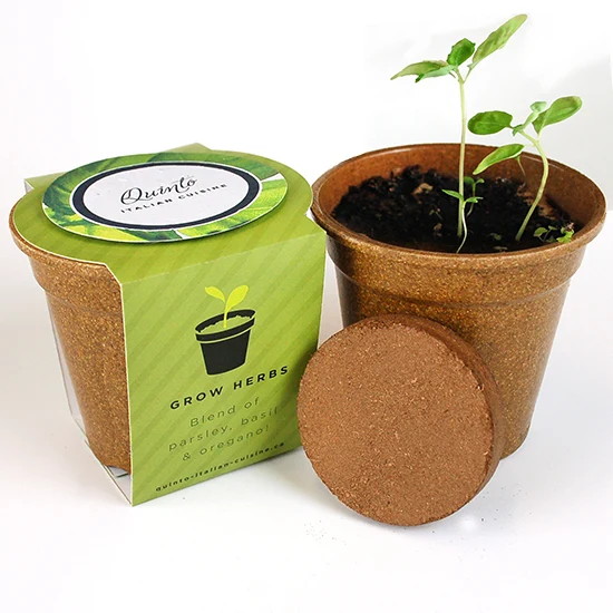 Herb Medallion Seed Paper Sprouter Kits 1