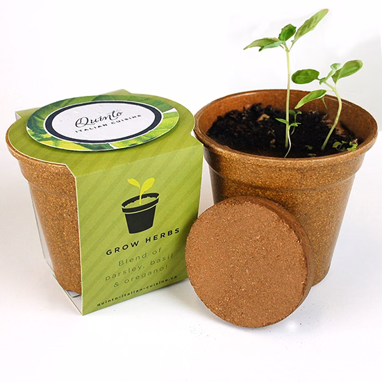 Herb Medallion Seed Paper Sprouter Kits