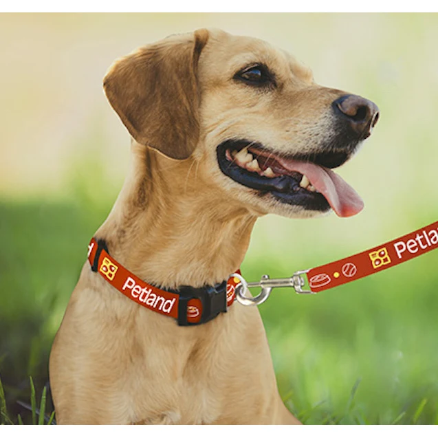 Pantone Matched Collar 1