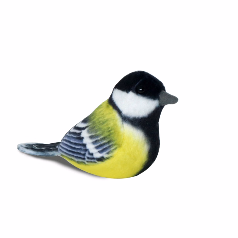 Parus Birds