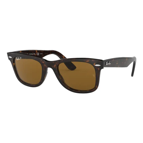 Ray-Ban Polarized Original Wayfarer Classic Sunglasses 1