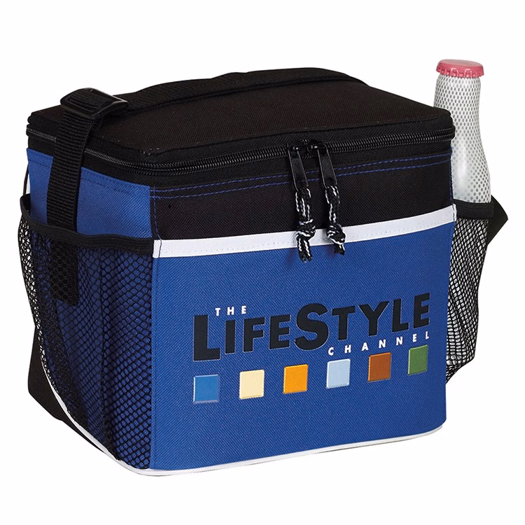 Spectrum Frosted Insulated 6 Pack Cooler