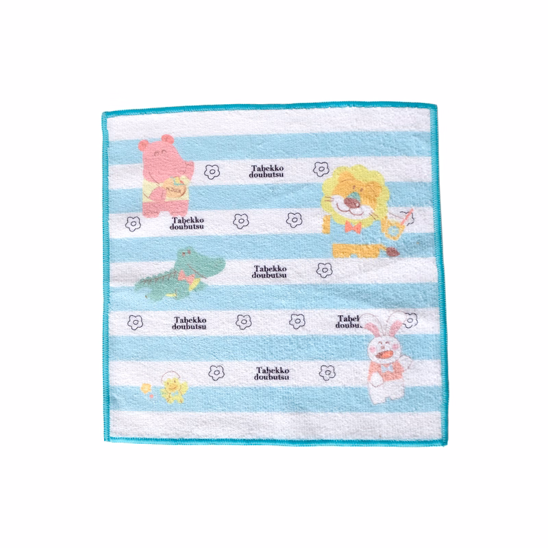 E-Z Import Microfiber Cloth Towel