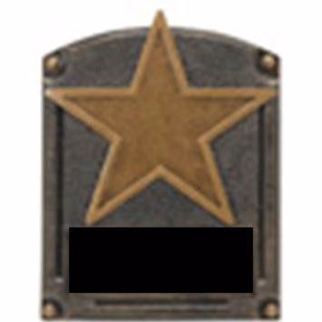 6-1/2" Star Legends of Fame Resin