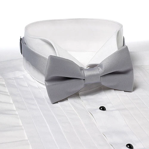Light Gray Banded Bow Tie 1