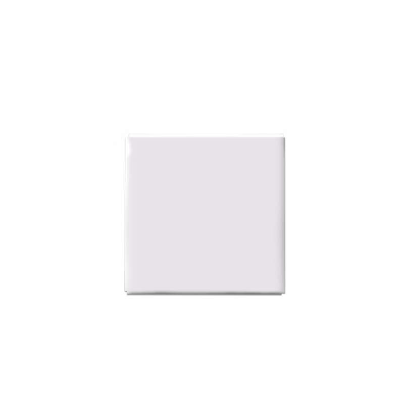 2" Square Button