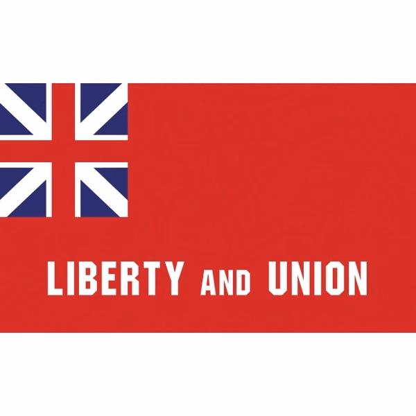Special Historical Flags - Taunton