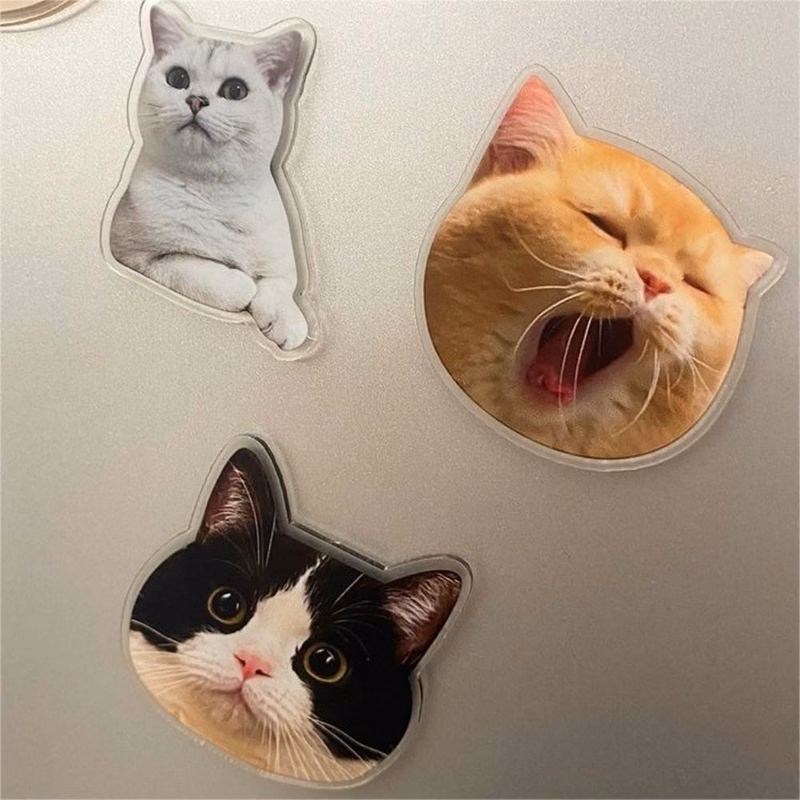Acrylic Cute Fridge Stickers