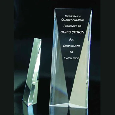 Crystal Panel Award 1