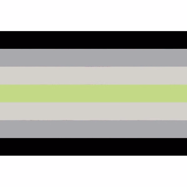 Agender Flag