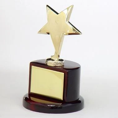 Silver Star Trophy 1