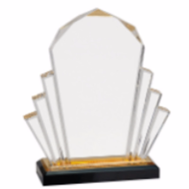 6X9 Gold Faceted Impress Acrylic Award