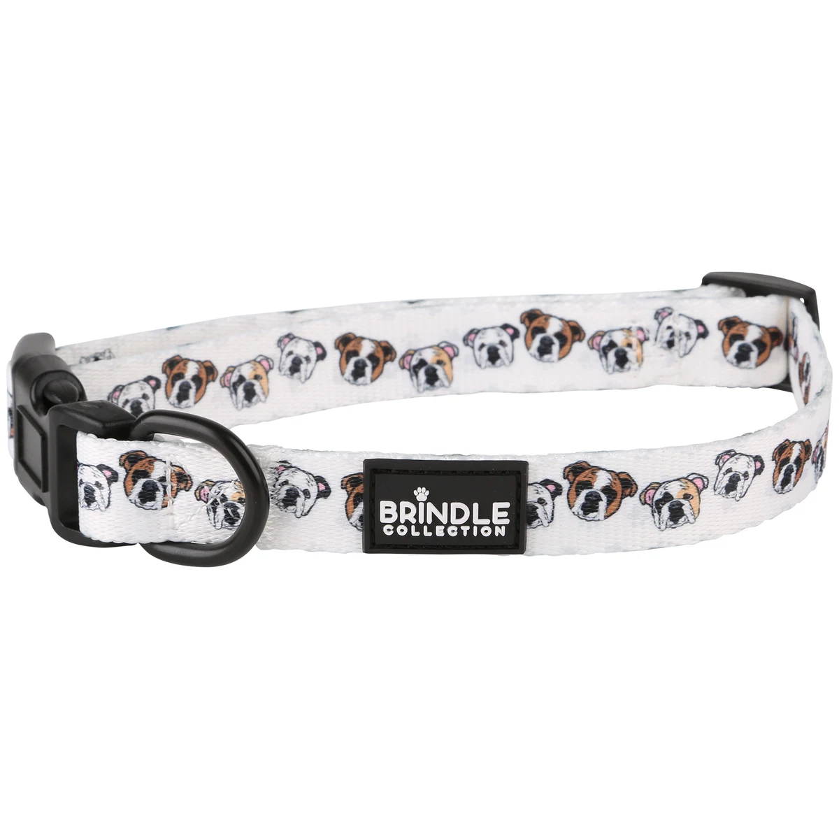 Dog Collar: Medium 1