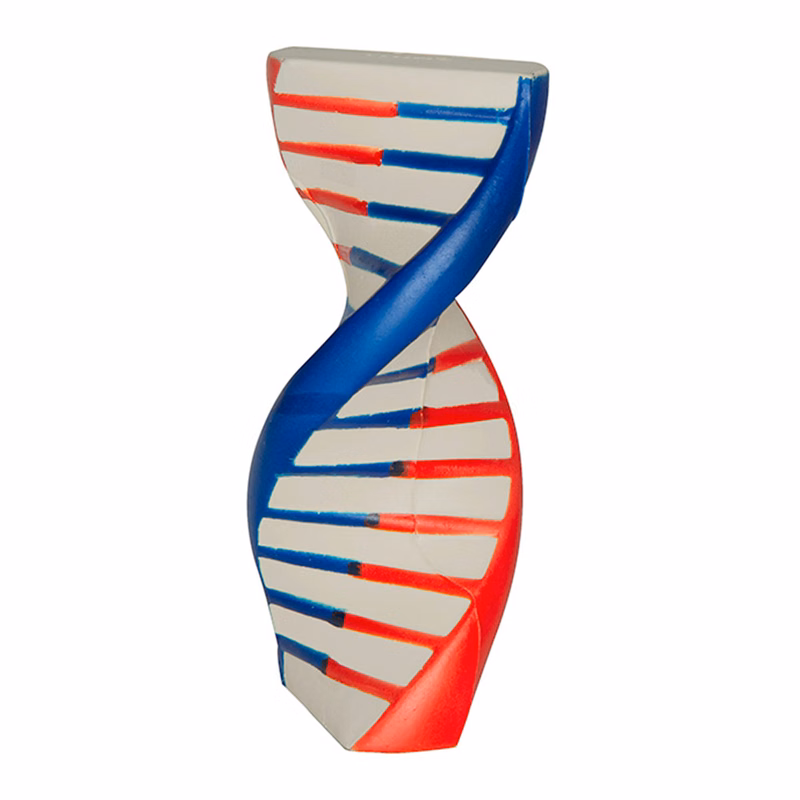 DNA Stress Reliever