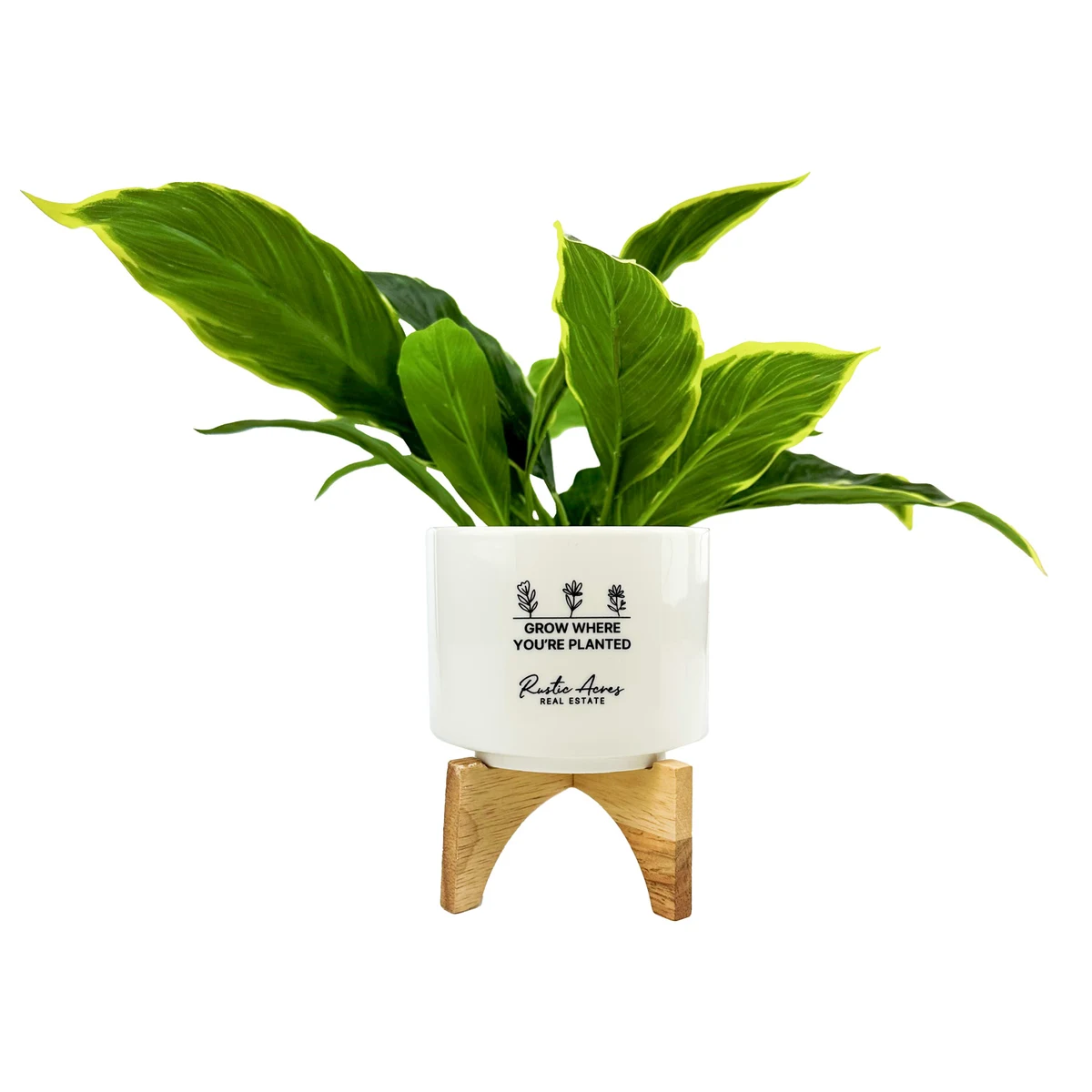 Decorative Ceramic Planter & Stand 1