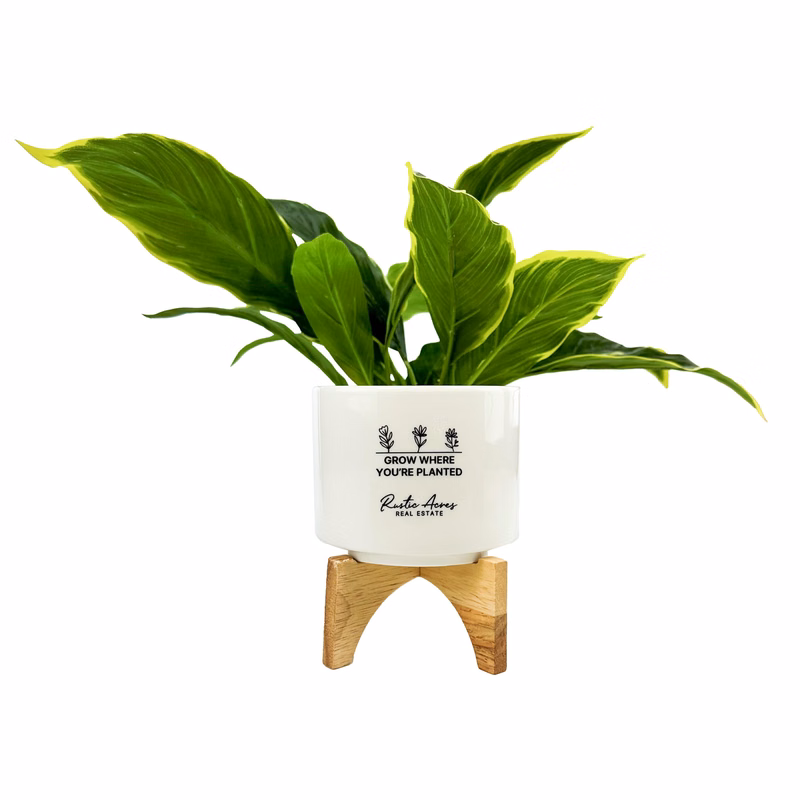 Decorative Ceramic Planter & Stand