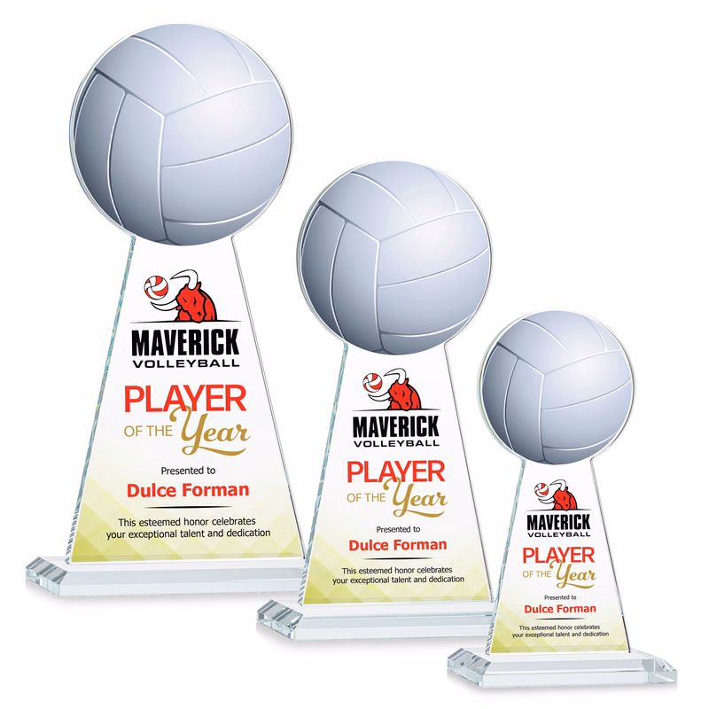 Edenwood Volleyball VividPrint™ Award - Clear