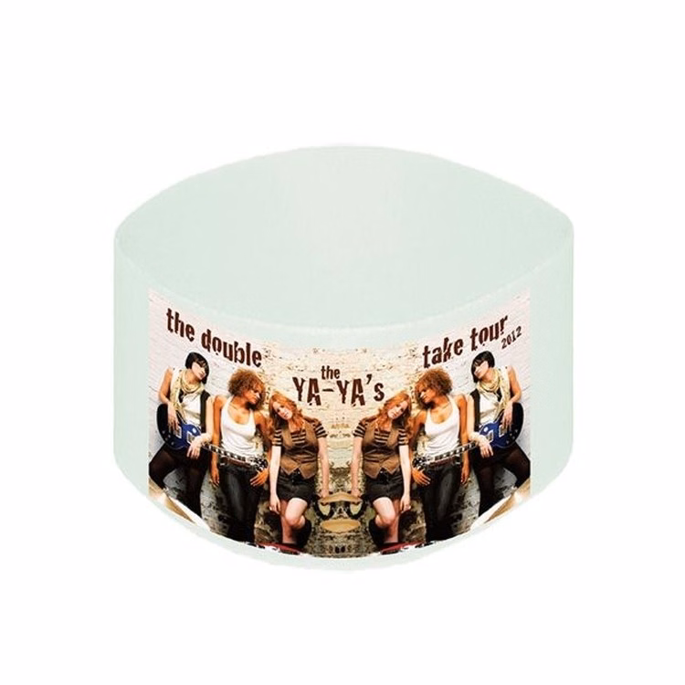 Photo Flex Wristband - 4"x1"