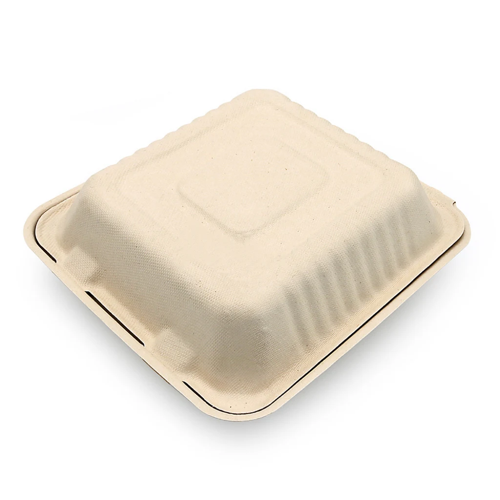 Biodegradable Food Container 1