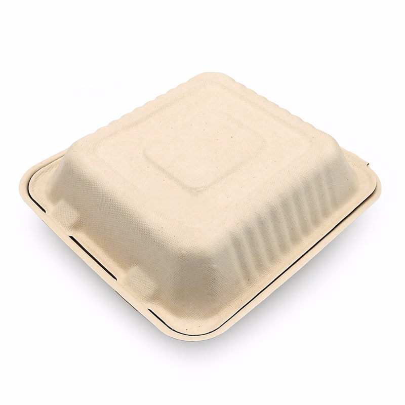 Biodegradable Food Container