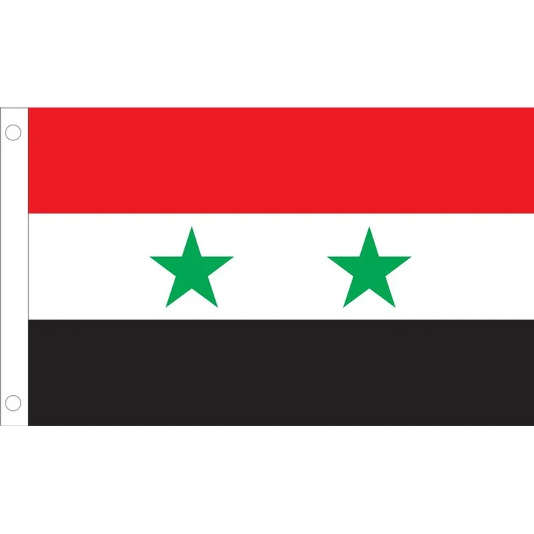 Syria Flag - 2' x 3' - Nylon 1