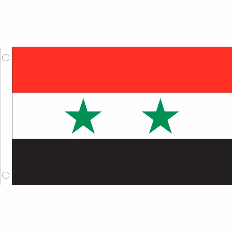 Syria Flag - 2' x 3' - Nylon