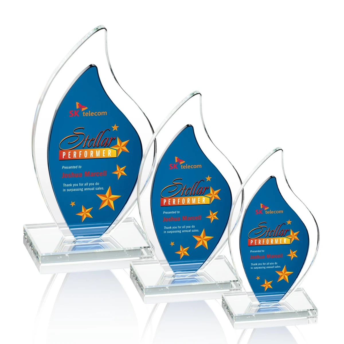 Flamingo VividPrint™ Award - Blue 1
