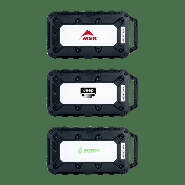 Lion Energy Cub 10000 mAh Powerbank 1