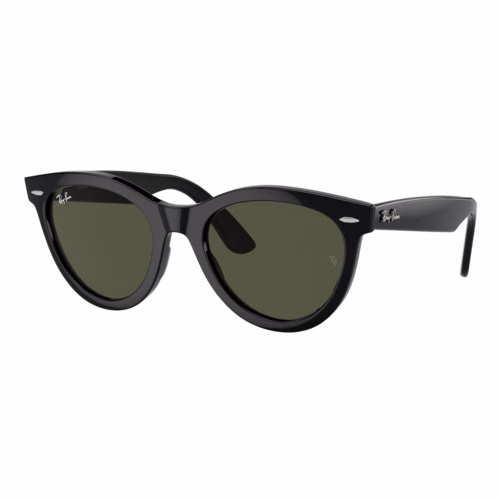 Ray-Ban Wayfarer Way Sunglasses