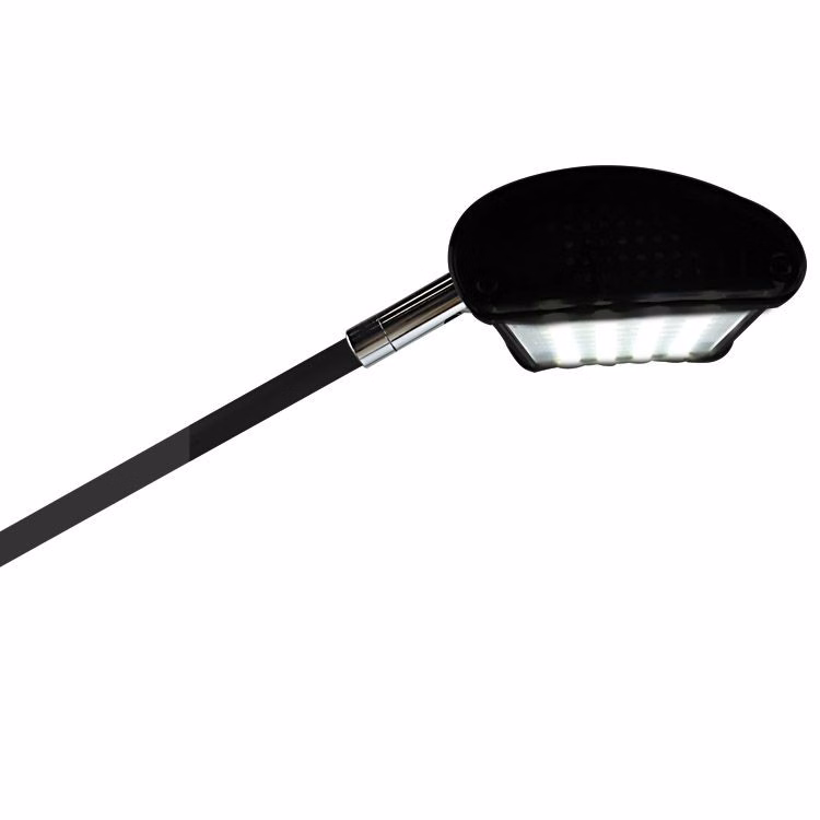 Lumina 200 LED Display Light