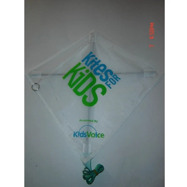 Kite 1