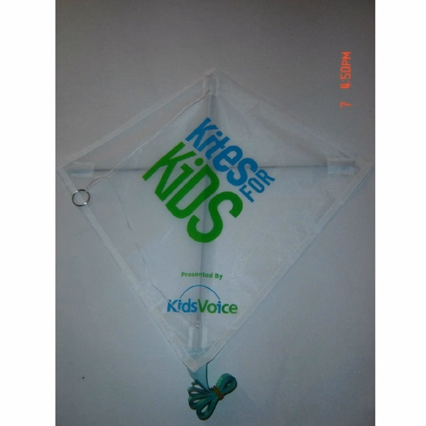 Kite
